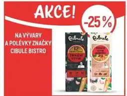 Globus Na vývary a polévky značky cibule bistro nabídka