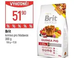 Globus Brit krmivo pro hlodavce nabídka
