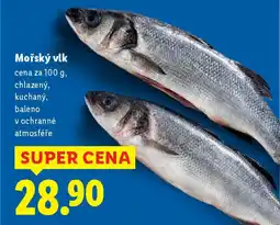 Lidl Mořský vlk nabídka