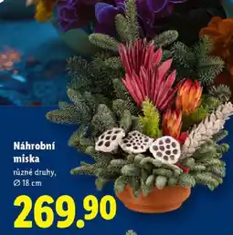 Lidl Náhrobní miska nabídka