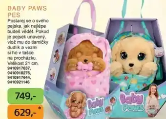 Dráčik Baby paws pes nabídka