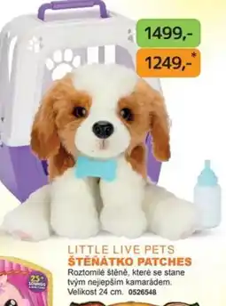 Dráčik Little live pets štěňátko patches nabídka