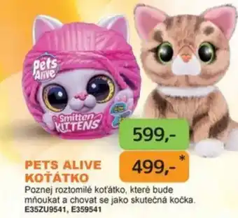 Dráčik Pets alive koťátko nabídka