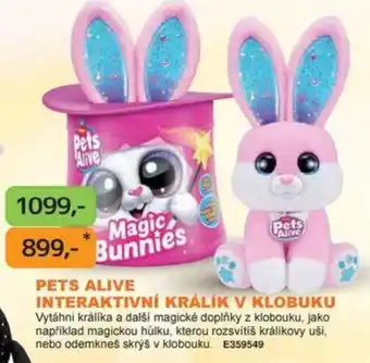 Dráčik Pets alive interaktivní králík v klobuku nabídka