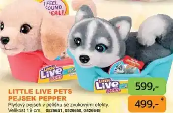 Dráčik Little live pets pejsek pepper nabídka