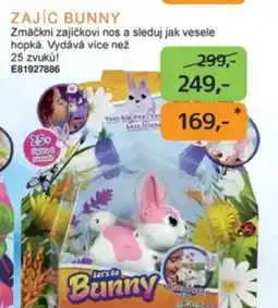 Dráčik Zajíc bunny nabídka