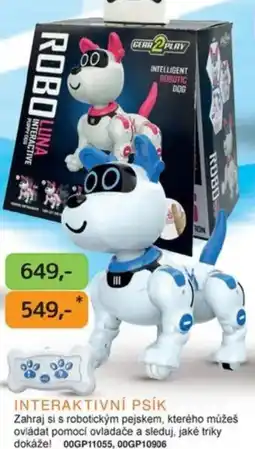 Dráčik Interaktivní psík nabídka