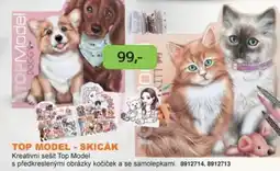 Dráčik Top model - skicák nabídka