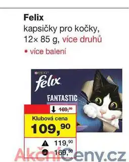 Barvy a laky drogerie Felix kapsičky pro kočky, 12x 85 g nabídka