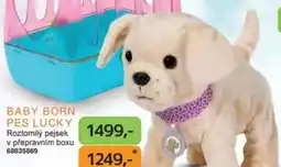 Dráčik Baby born pes lucky nabídka