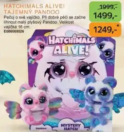 Dráčik Hatchimals alive! tajemný pandoo nabídka