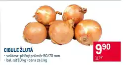 Makro Cibule žlutá nabídka
