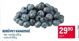 Makro Borůvky kanadské nabídka