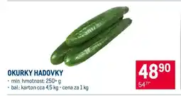 Makro Okurky hadovky nabídka