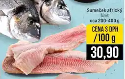 Jip Sumeček africký filet nabídka