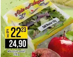 Jip Mezclun salát nabídka