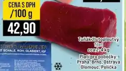 Jip Tuňák žlutoploutvý filet nabídka