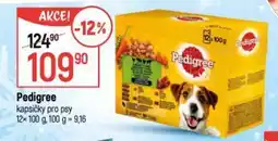 Globus Pedigree kapsičky pro psy nabídka