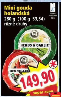 Norma Mini gouda holandská nabídka
