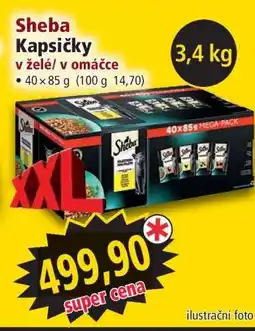 Norma Sheba Kapsičky nabídka