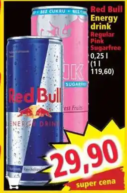 Norma Red Bull energy drink nabídka