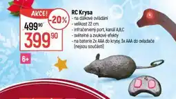 Globus RC Krysa nabídka