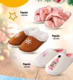 Globus PREGO Papuče nabídka