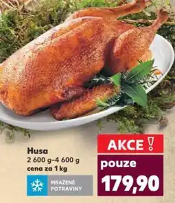 Kaufland Husa nabídka