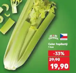 Kaufland Celer řapíkatý nabídka