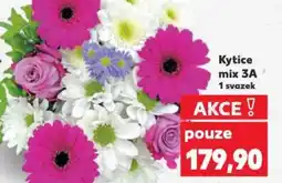 Kaufland Kytice mix 3A nabídka