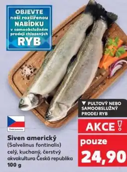 Kaufland Siven americký nabídka