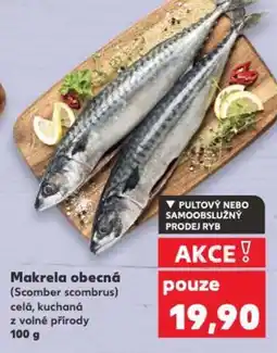 Kaufland Makrela obecná nabídka