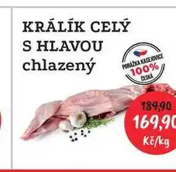 RABBIT řeznictví KRÁLÍK CELÝ S HLAVOU chlazený 1kg nabídka