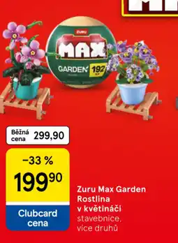 Tesco Zuru Max Garden Rostlina v květináči nabídka