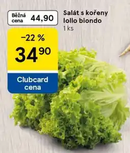 Tesco Salát s kořeny lollo biondo nabídka