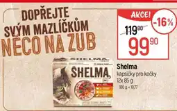 Globus Shelma kapsičky pro kočky 12x 85 g nabídka
