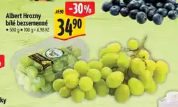 Albert Albert Hrozny bílé bezsemenné nabídka