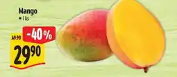 Albert Mango nabídka