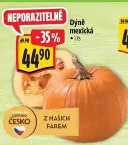 Albert Dýně mexická nabídka