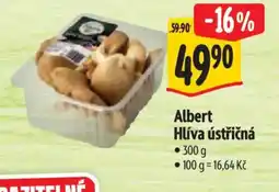 Albert Albert Hlíva ústřičná nabídka