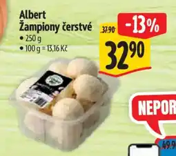 Albert Albert Žampiony čerstvé nabídka