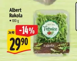 Albert Albert Rukola nabídka