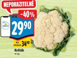 Albert Květák nabídka