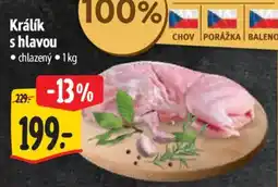Albert Králík s hlavou nabídka