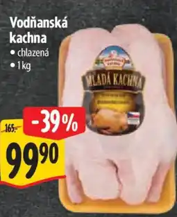 Albert Vodňanská kachna nabídka