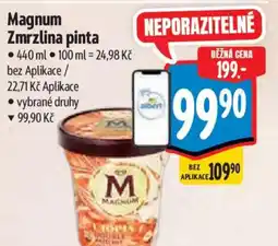 Albert Magnum Zmrzlina pinta nabídka