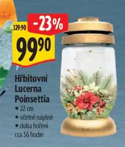 Albert Hřbitovní Lucerna Poinsettia nabídka