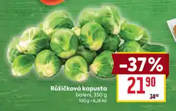 Billa Růžičková kapusta nabídka