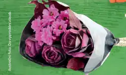 Billa Kytice Brassica nabídka