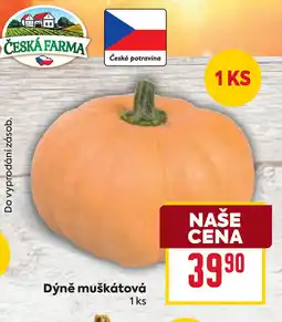 Billa Dýně muškátová nabídka